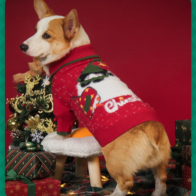 Christmas Sweater with Slanted Collar – Festive Holiday Outfit for Dogs